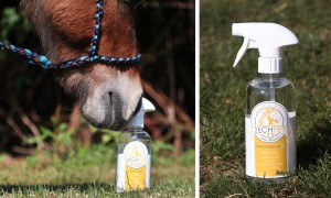 Massage Öl Pferd